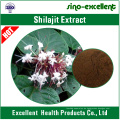 100% natürliches Shilajit Extraktpulver